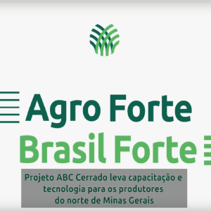 Agro Forte Brasil Forte – Projeto ABC Cerrado leva capacitação e tecnologia a produtores de MG